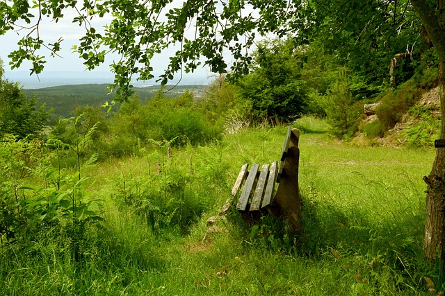 通常建议 通常建议