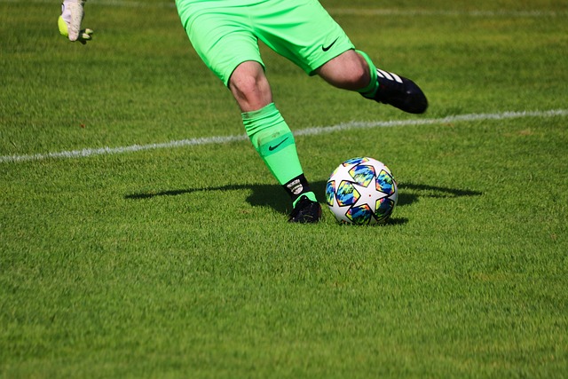 成为了羽毛 成为了羽毛